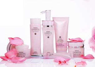 高效家居日用品批发的策略与市场机遇